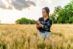 MBA em Economia e Gestão: Agronegócio