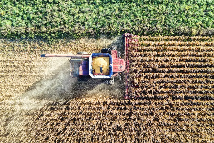 Trilha Executiva em Inteligência de Mercado no Agronegócio
